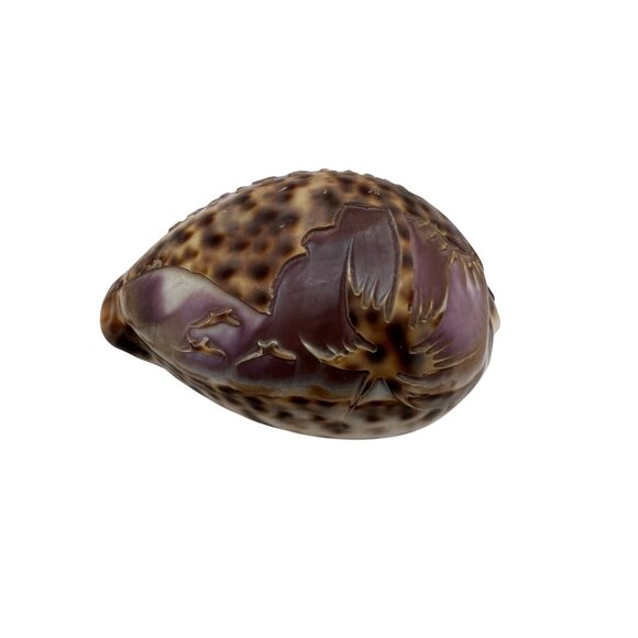 Hand-Carved Purple Tiger Cowrie Shell With Beach Scene From Philippines 3" Long - Picture 3 of 6